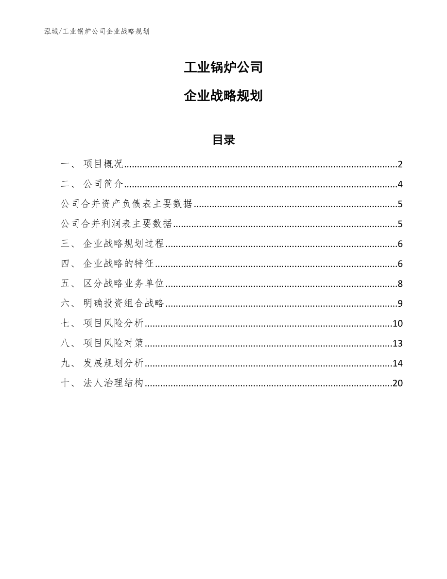 工业锅炉公司企业战略规划【范文】_第1页