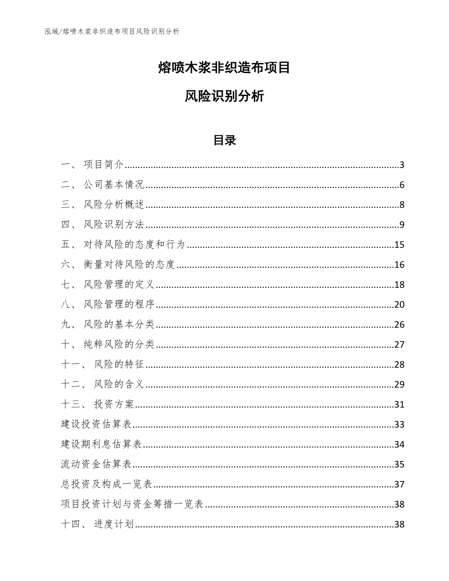 熔喷木浆非织造布项目风险识别分析_第1页