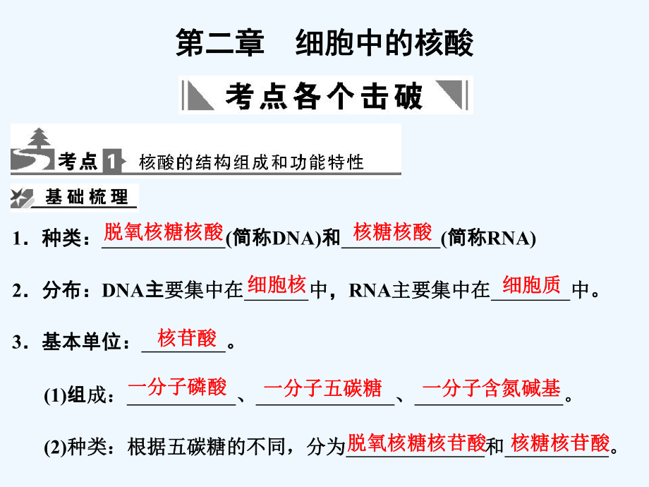 【创新设计】2011届高考生物一轮复习 第2单元 2-2细胞中的核酸课件 中国版必修1_第1页