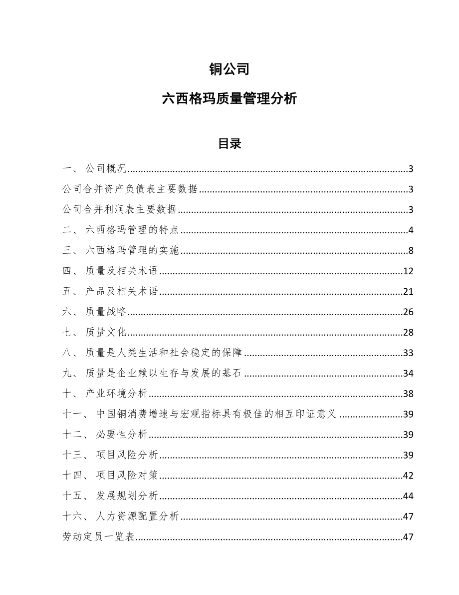 铜公司六西格玛质量管理分析【范文】_第1页