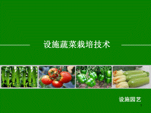 设施蔬菜栽培技术课件