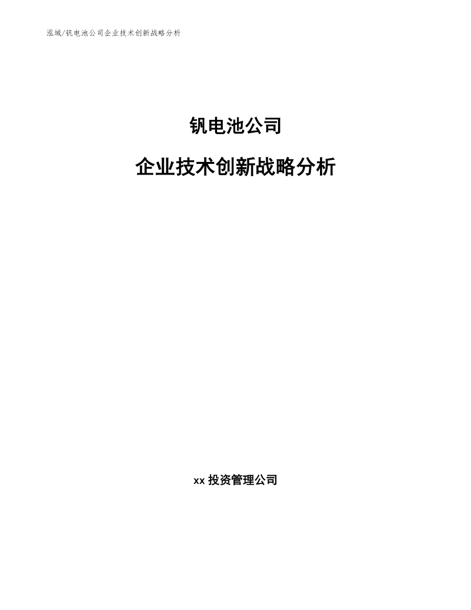 钒电池公司企业技术创新战略分析_第1页