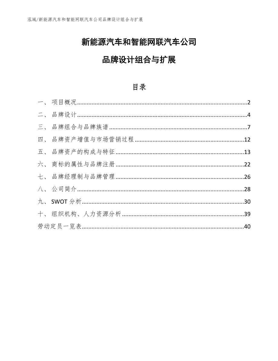 新能源汽车和智能网联汽车公司品牌设计组合与扩展_范文_第1页