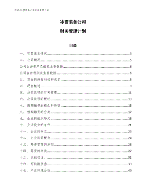 冰雪装备公司财务管理计划