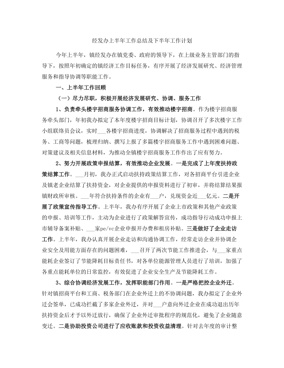 经发办上半年工作总结及下半年工作计划_第1页