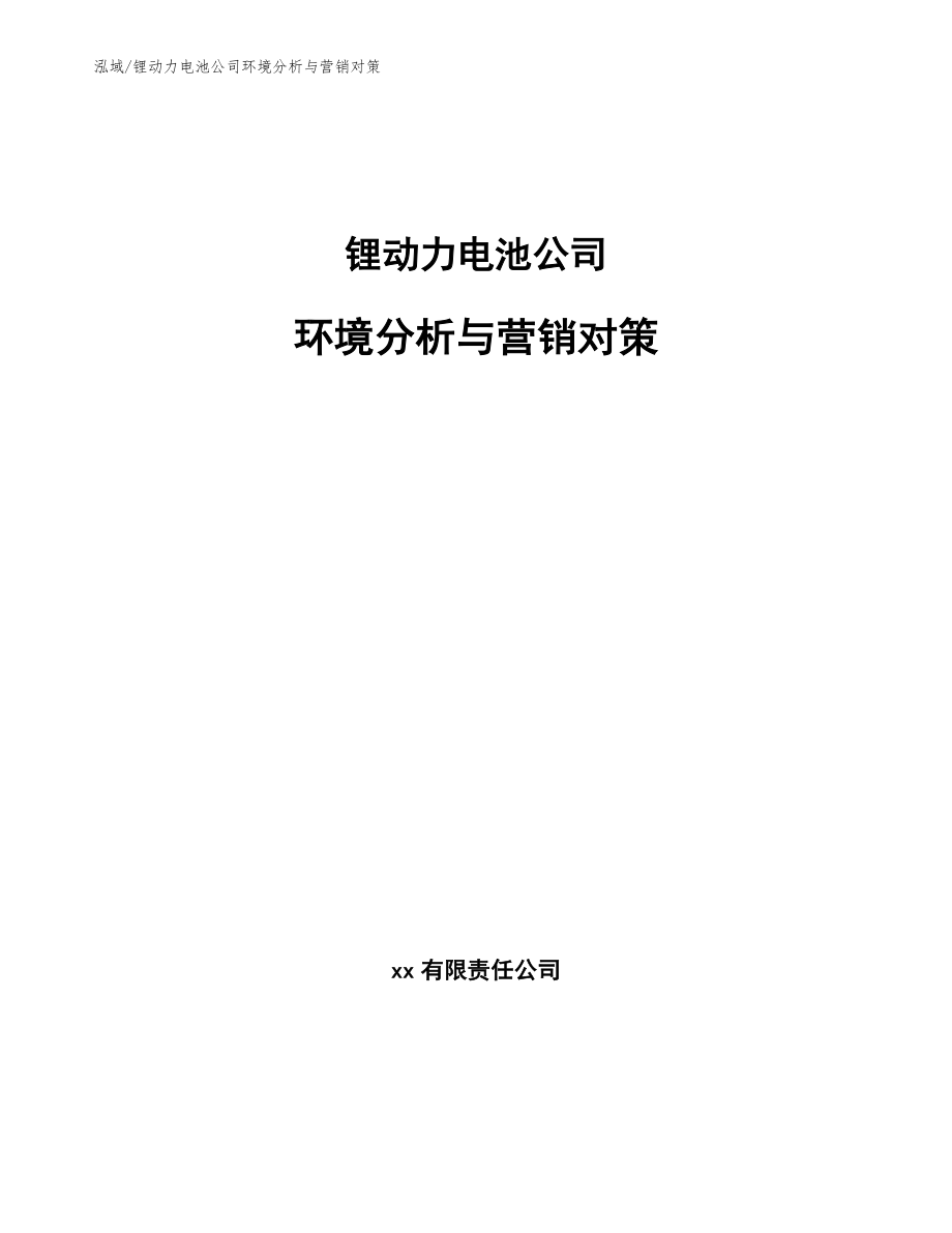 锂动力电池公司环境分析与营销对策_范文_第1页