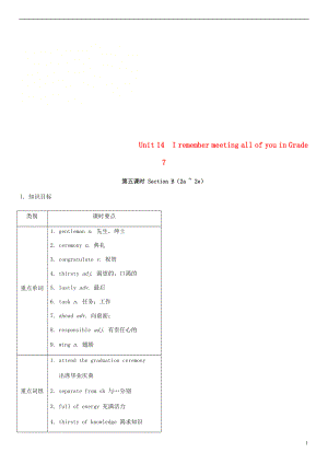 九年級英語全冊 Unit 14 I remember meeting all of you in Grade 7（第5課時）Section B（2a-2e）教案 （新版）人教新目標(biāo)版