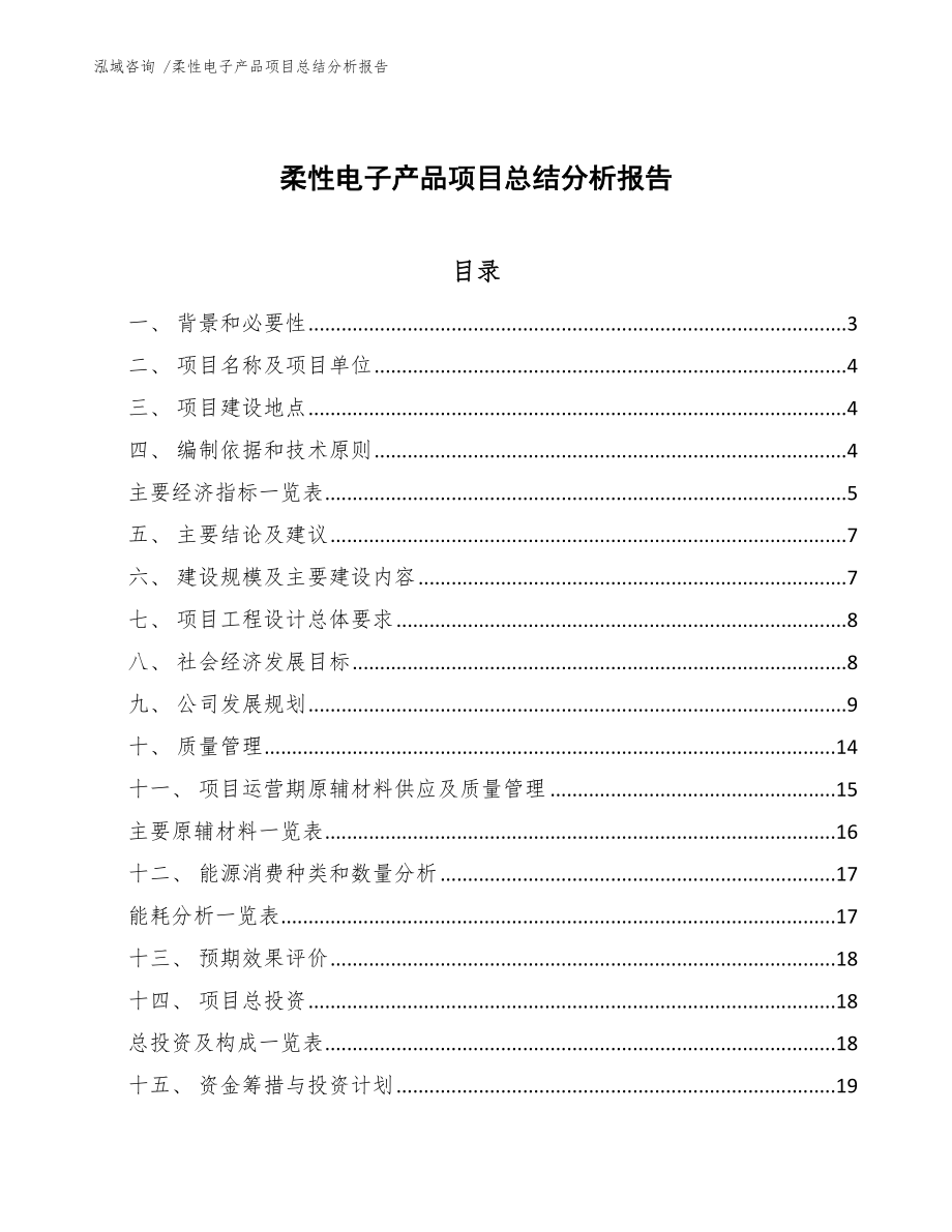 柔性电子产品项目总结分析报告-（模板参考）_第1页