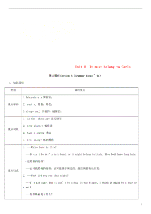 九年級英語全冊 Unit 8 It must belong to Carla（第3課時）Section A（Grammar focus-4c）教案 （新版）人教新目標(biāo)版