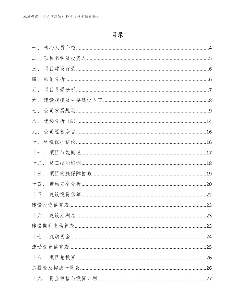 电子信息新材料项目投资预算分析（模板）_第1页