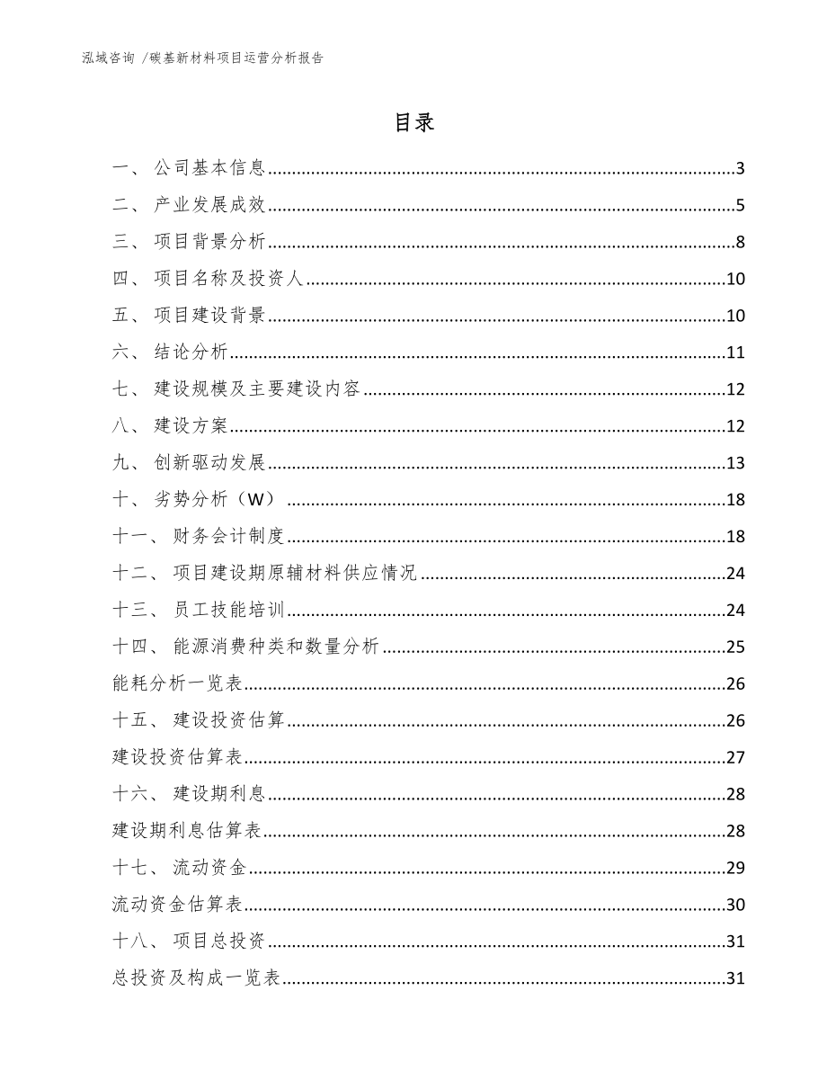 碳基新材料项目运营分析报告-参考范文_第1页