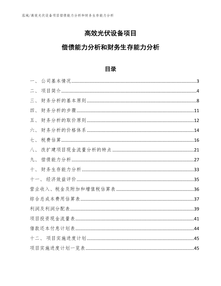 高效光伏设备项目偿债能力分析和财务生存能力分析_第1页