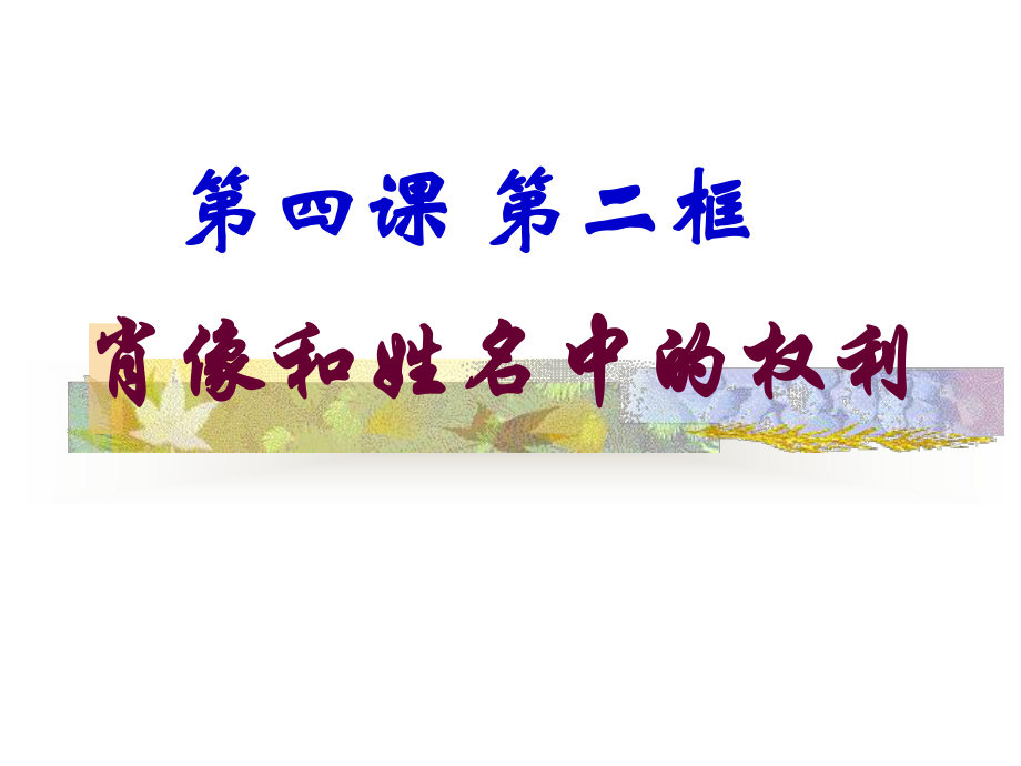 思想品德八年級下冊第二單元第四課第二框教學課件12_第1頁