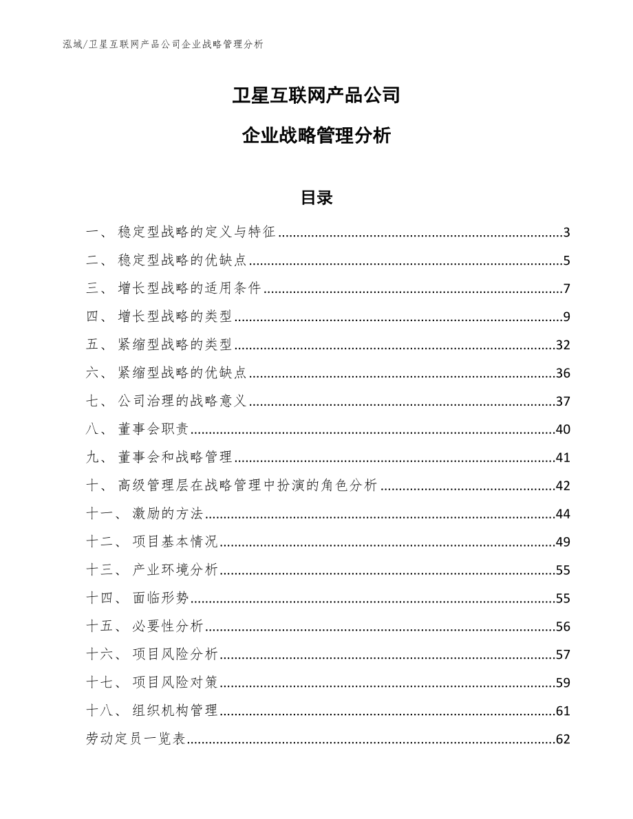 卫星互联网产品公司企业战略管理分析_第1页