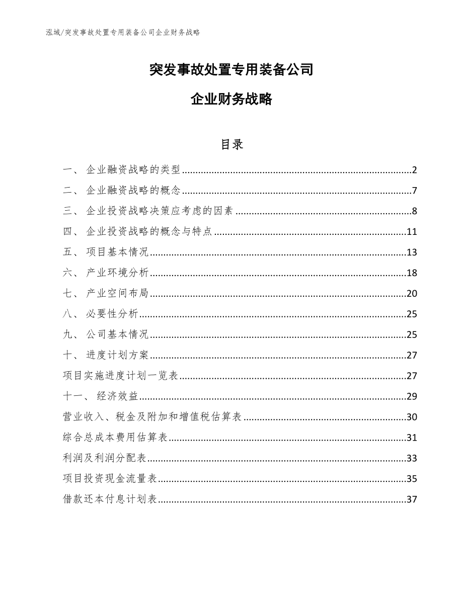 突发事故处置专用装备公司企业财务战略_第1页