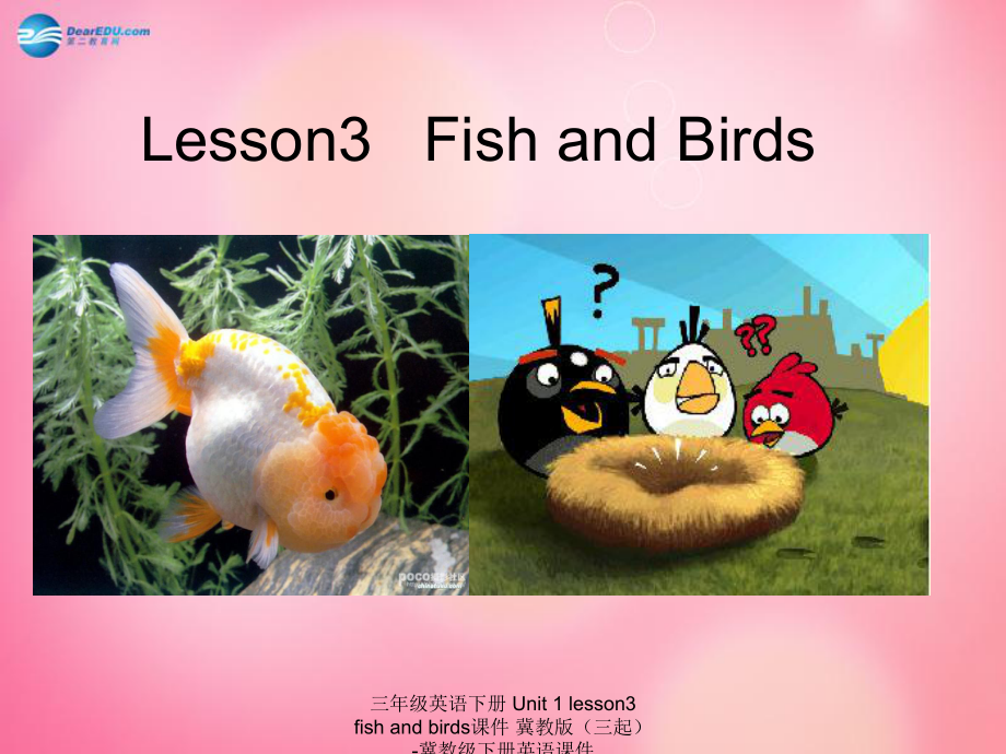 最新三年级英语下册Unit1lesson3fishandbirds_第1页