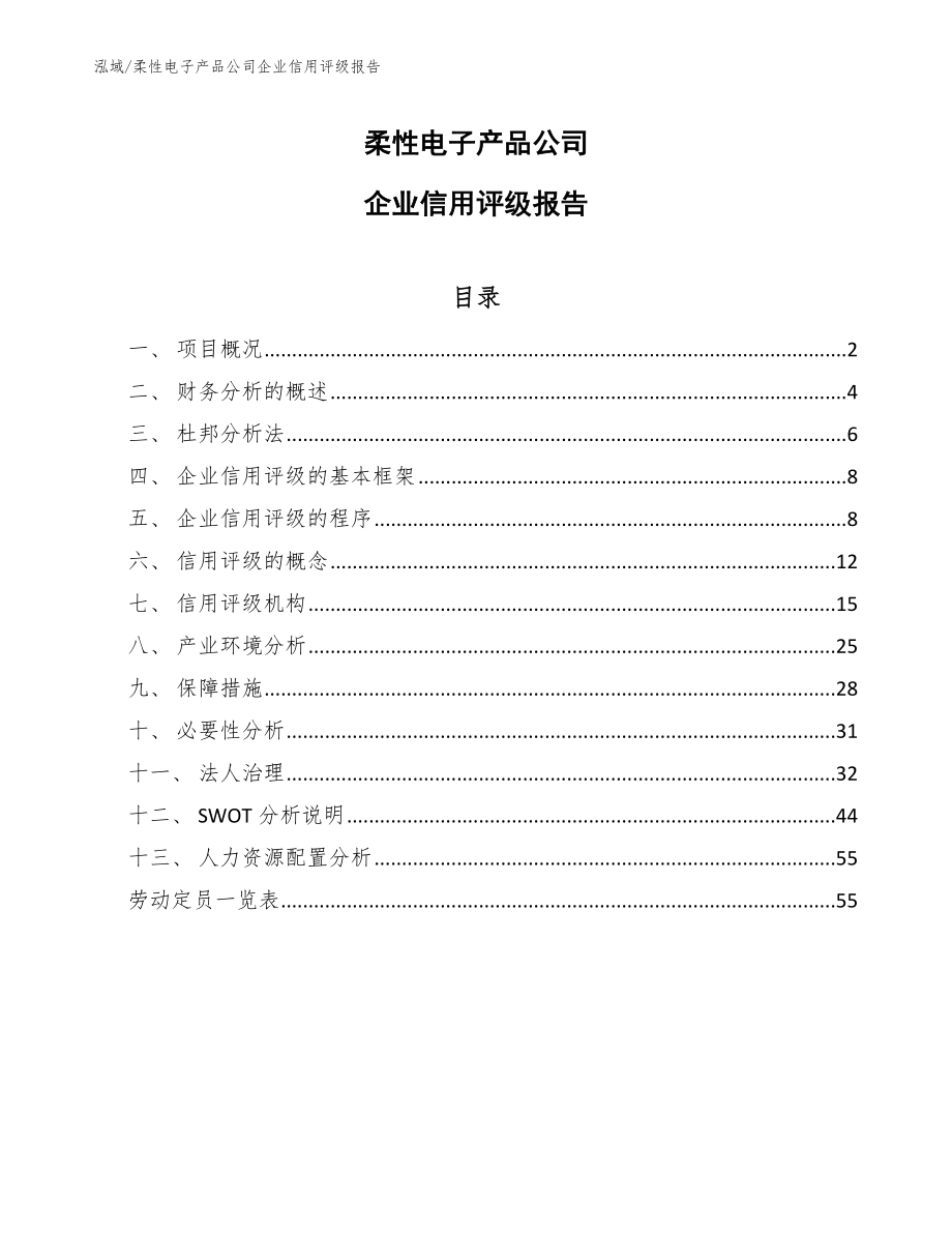 柔性电子产品公司企业信用评级报告_第1页