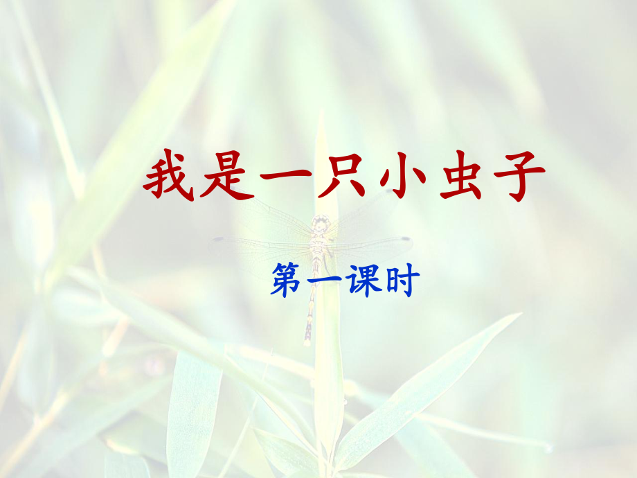 二年级下册语文《我是一只小虫子》ppt课件_第1页