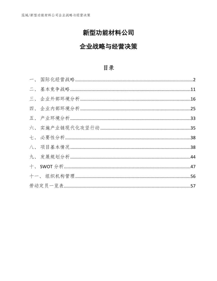 新型功能材料公司企业战略与经营决策【参考】_第1页