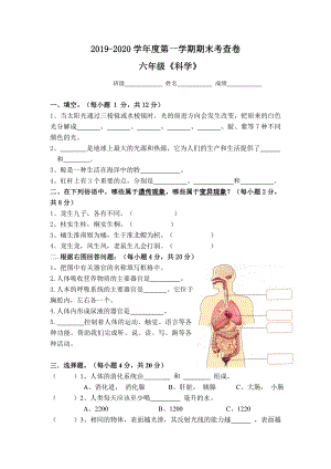 六年級(jí)上冊(cè)科學(xué)試題 第一學(xué)期科學(xué)期末考試卷教科版無答案