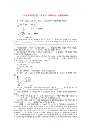 2015屆高考生物二輪復(fù)習(xí) 專項訓(xùn)練 細胞的代謝