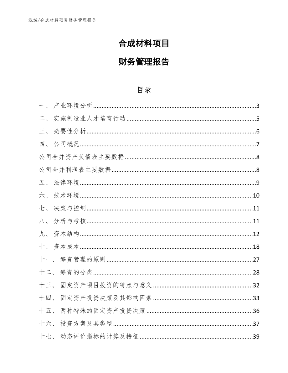 合成材料项目财务管理报告【范文】_第1页