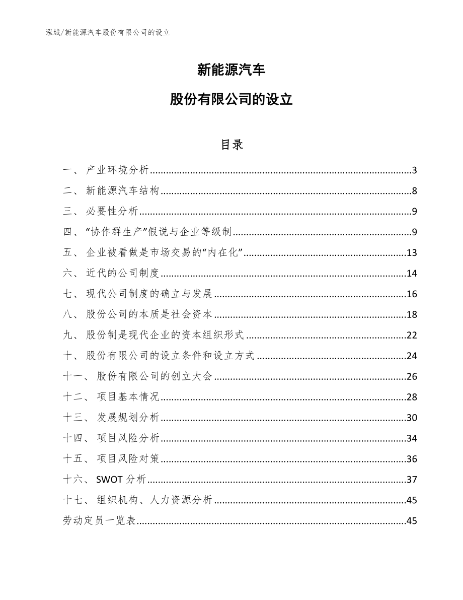 新能源汽车股份有限公司的设立（参考）_第1页