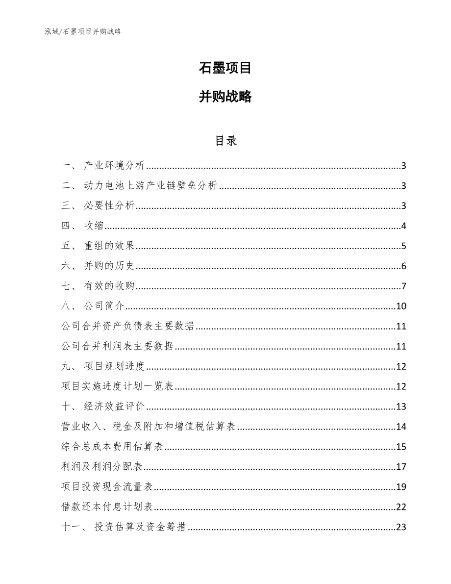 石墨项目并购战略（范文）_第1页