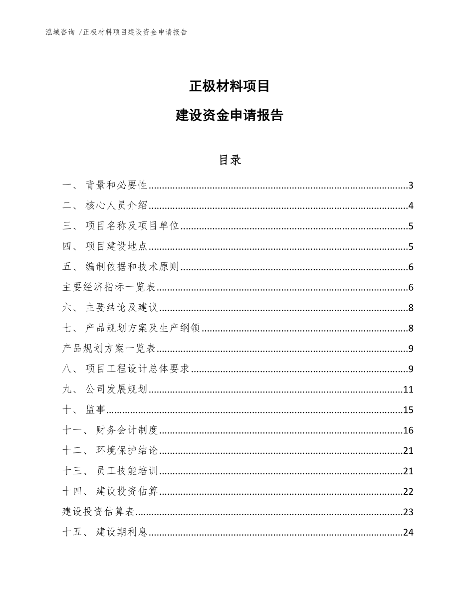 正极材料项目建设资金申请报告_模板_第1页