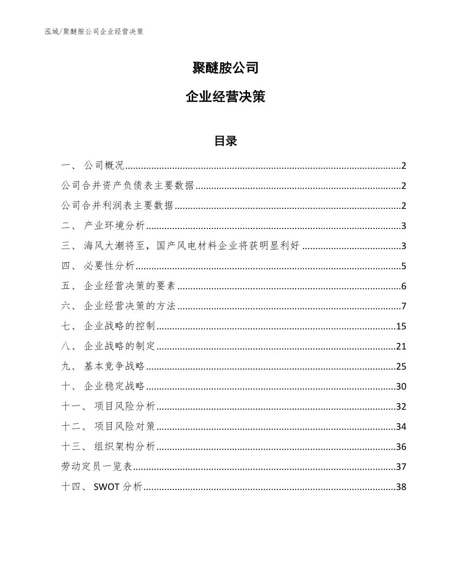 聚醚胺公司企业经营决策_第1页