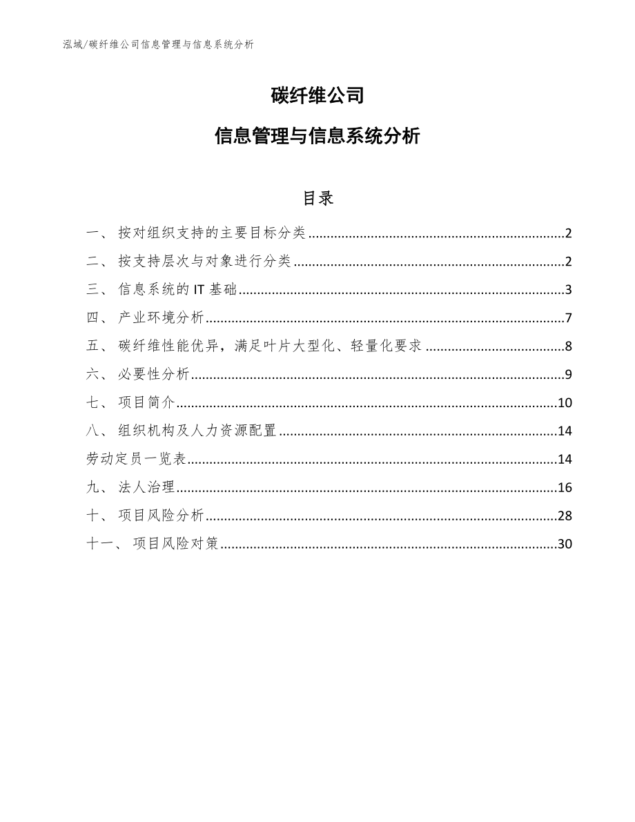 碳纤维公司信息管理与信息系统分析【参考】_第1页