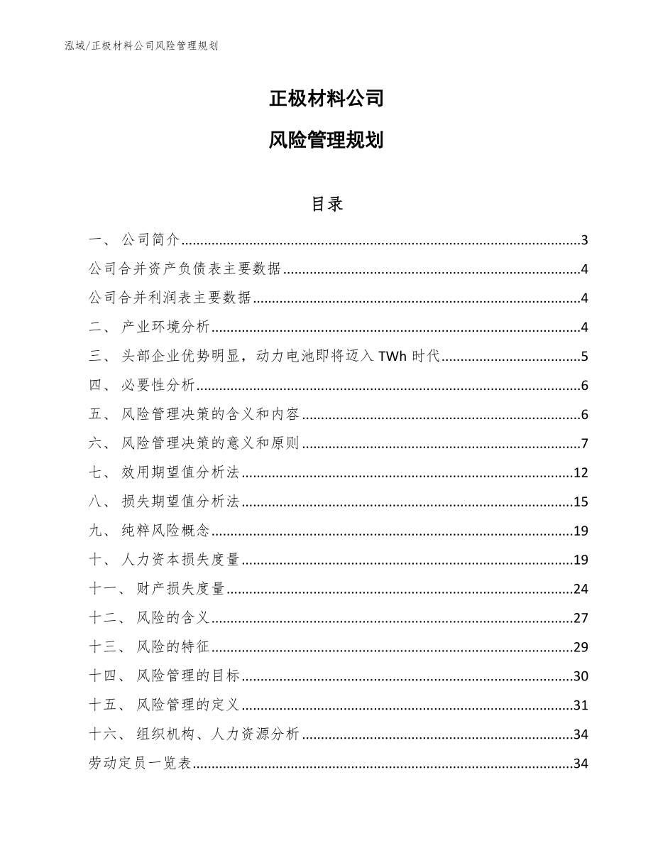 正极材料公司风险管理规划_范文_第1页