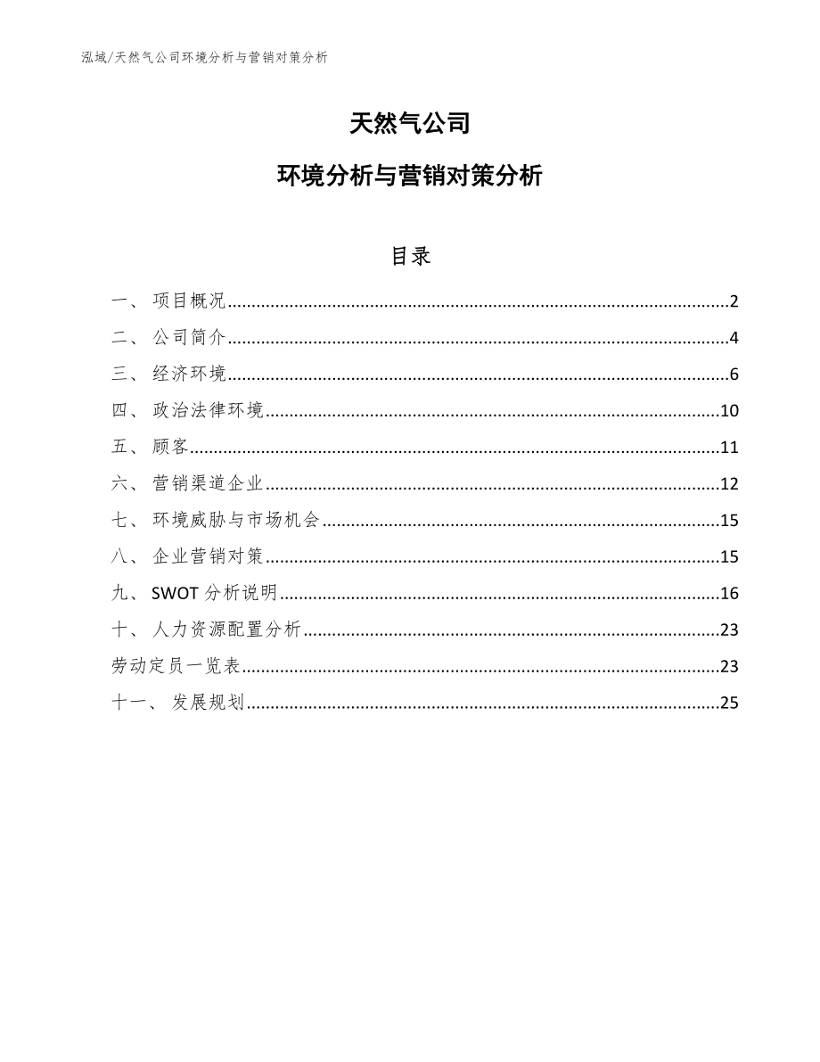 天然气公司环境分析与营销对策分析【范文】_第1页