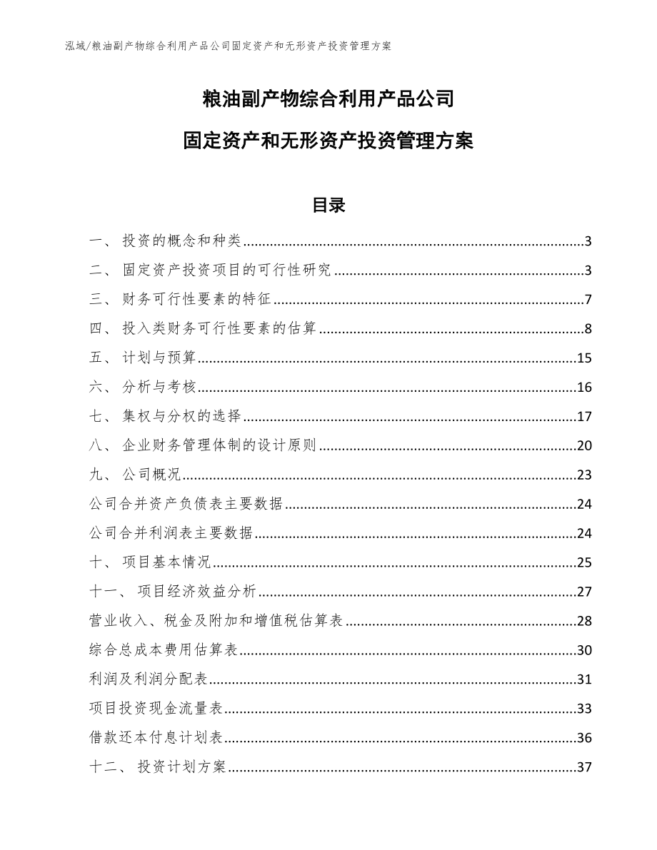 粮油副产物综合利用产品公司固定资产和无形资产投资管理方案_第1页