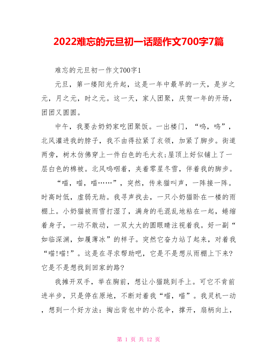 2022难忘的元旦初一话题作文700字7篇_第1页