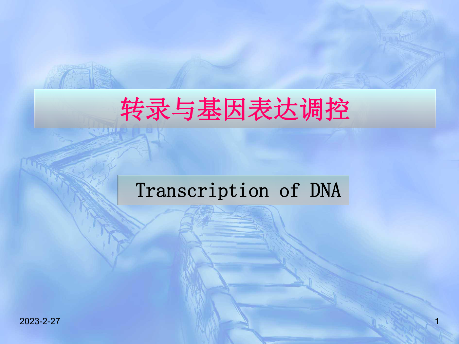 RNA的生物合成和加工_第1页