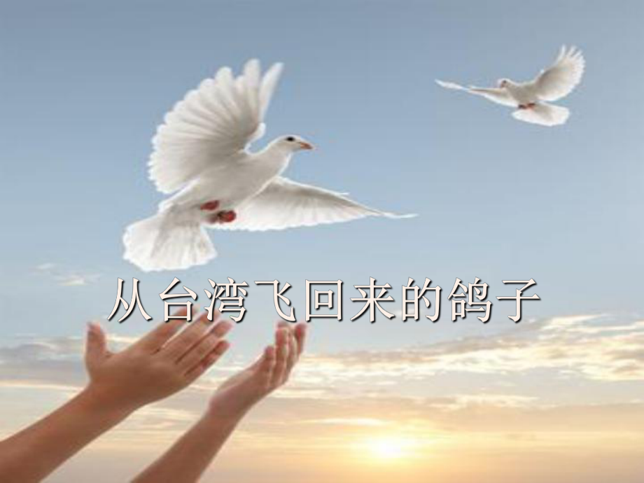 二年级语文上册从台湾飞回来的鸽子课件2语文A版语文A版小学二年级上册语文课件_第1页
