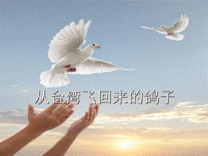 二年级语文上册从台湾飞回来的鸽子课件2语文A版语文A版小学二年级上册语文课件