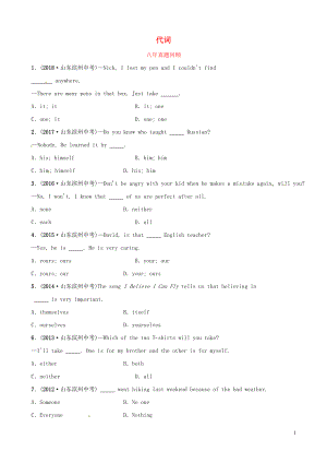 山東省濱州市2019年中考英語(yǔ)語(yǔ)法專(zhuān)項(xiàng)復(fù)習(xí) 語(yǔ)法五 代詞八年真題回顧