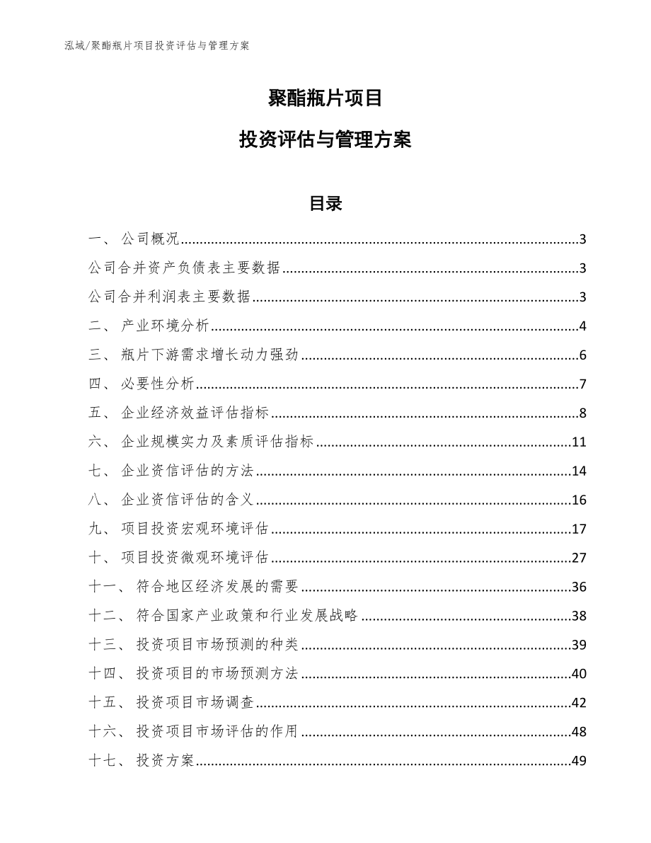 聚酯瓶片项目投资评估与管理方案_参考_第1页