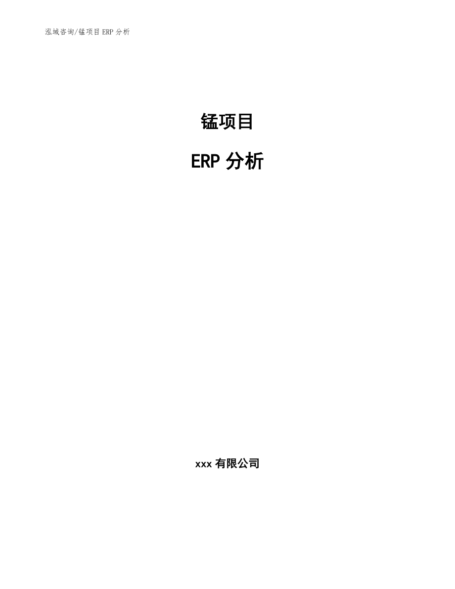 锰项目ERP分析（范文）_第1页