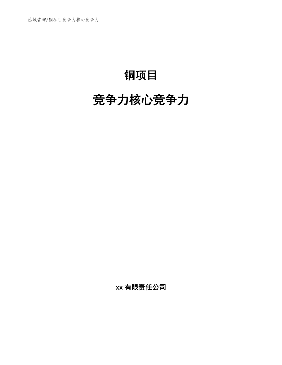 铜项目竞争力核心竞争力（参考）_第1页