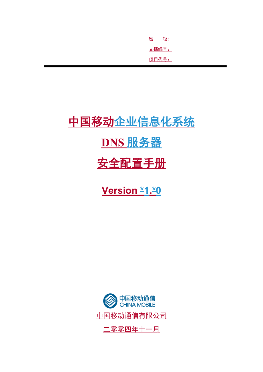 中国移动DNS服务器安全配置手册_第1页