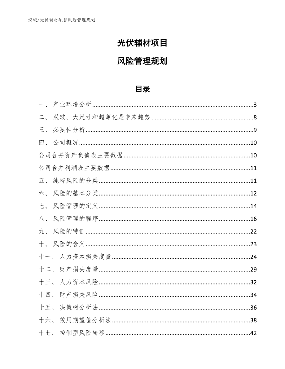 光伏辅材项目风险管理规划_范文_第1页