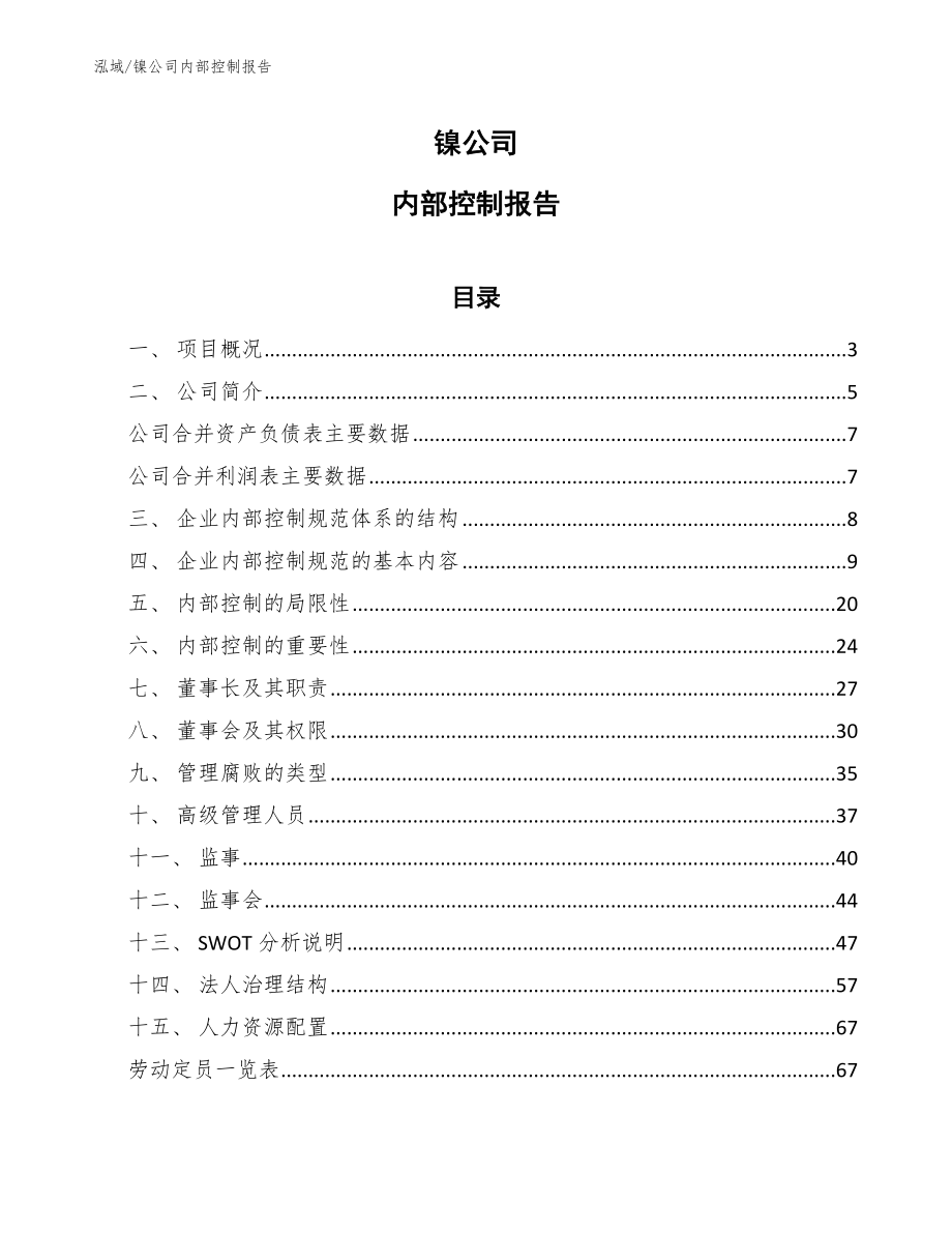 镍公司内部控制报告_参考_第1页