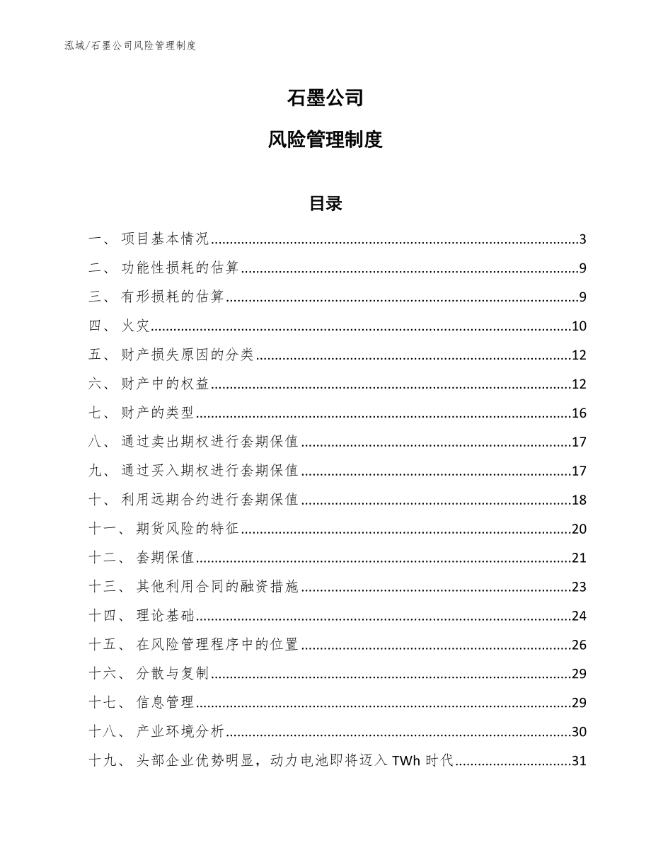 石墨公司风险管理制度（参考）_第1页