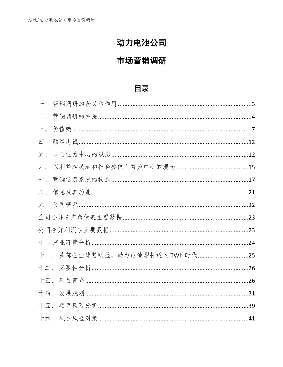 动力电池公司市场营销调研_第1页