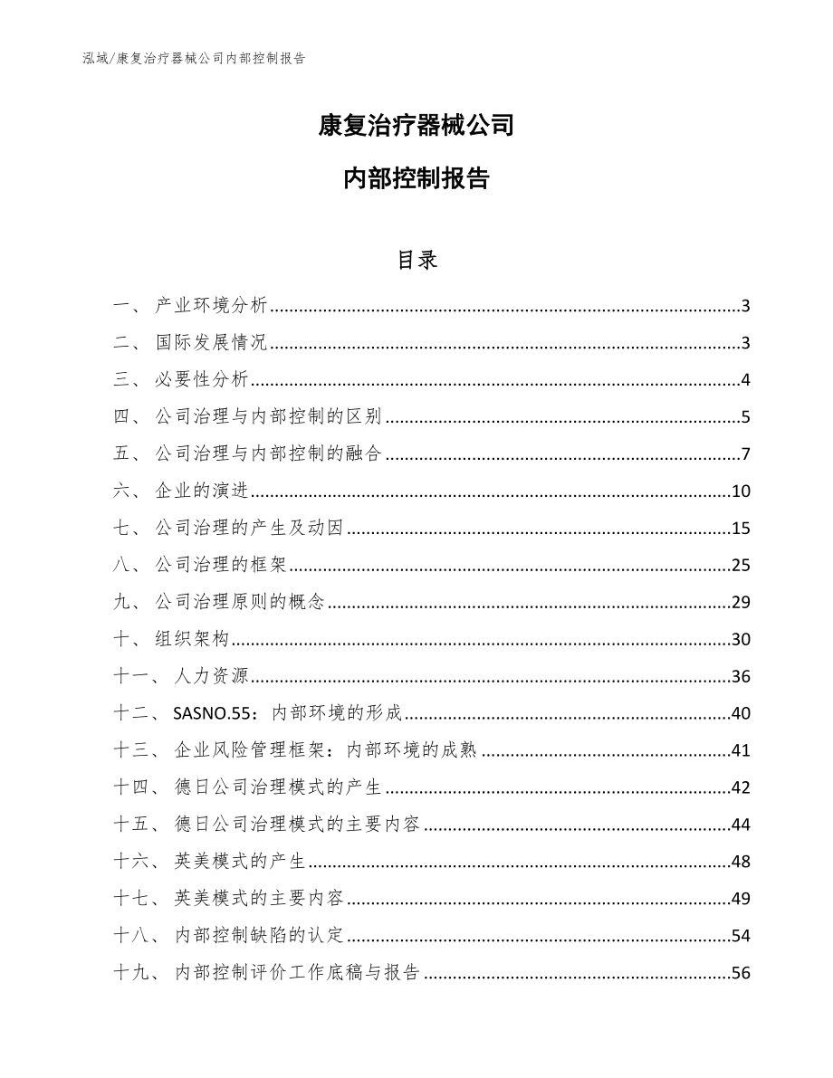 康复治疗器械公司内部控制报告_范文_第1页