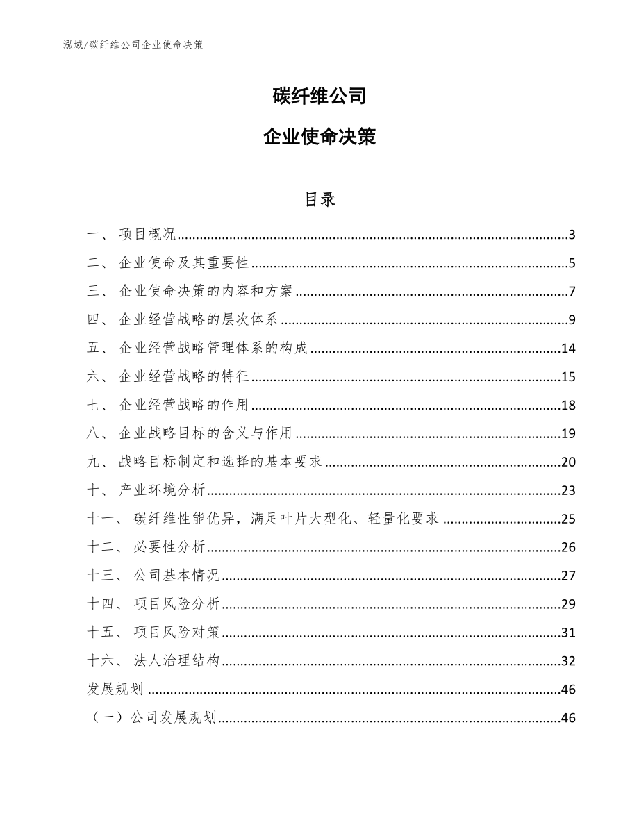 碳纤维公司企业使命决策_参考_第1页