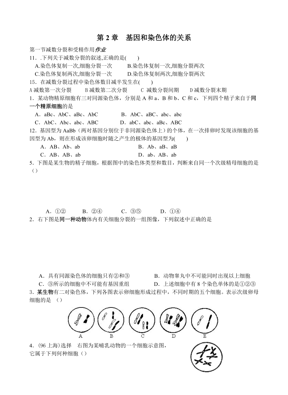 高中生物第2章 基因和染色體的關(guān)系 測試題必修_第1頁